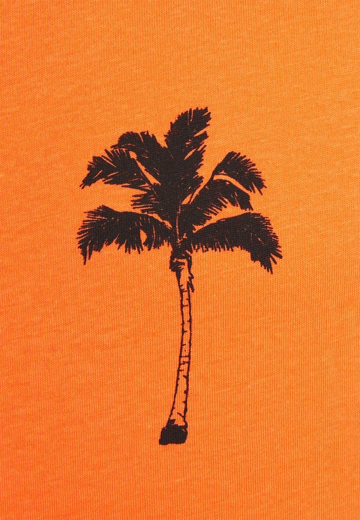 Remise 🎉 Blend BHTEE - T-shirt Imprimé - Nasturtium 👍 – Image 3